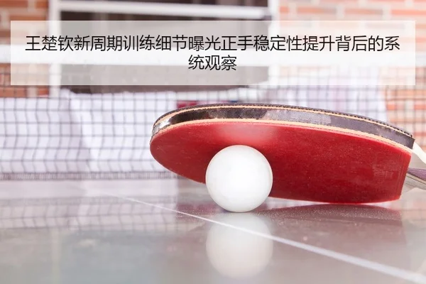王楚钦新周期训练细节曝光正手稳定性提升背后的系统观察