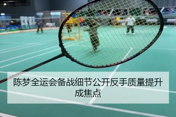 陈梦全运会备战细节公开反手质量提升成焦点
