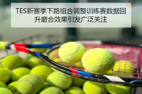 TES新赛季下路组合调整训练赛数据回升磨合效果引发广泛关注